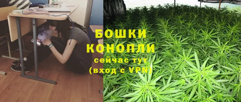 Конопля SATIVA & INDICA  Кизляр 